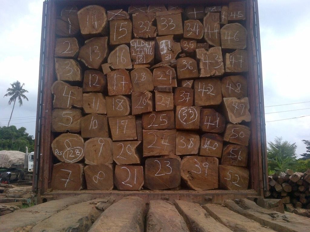 Vorbereitung von Palisanderholz vor der Möbelproduktion